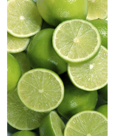 Tester ANDALUSIA (Lime)